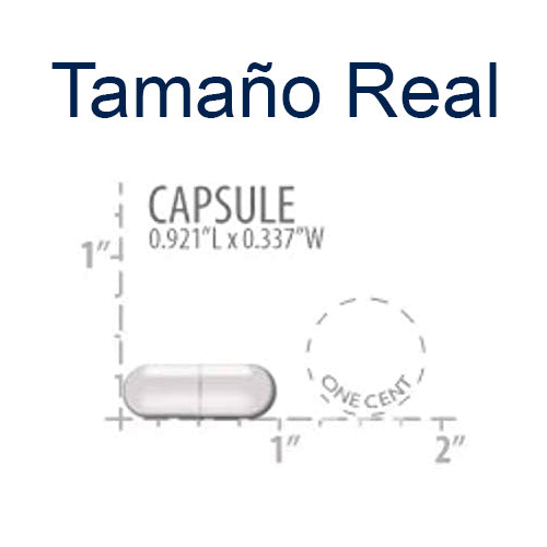 Glucosamine/Chondroitin Capsules