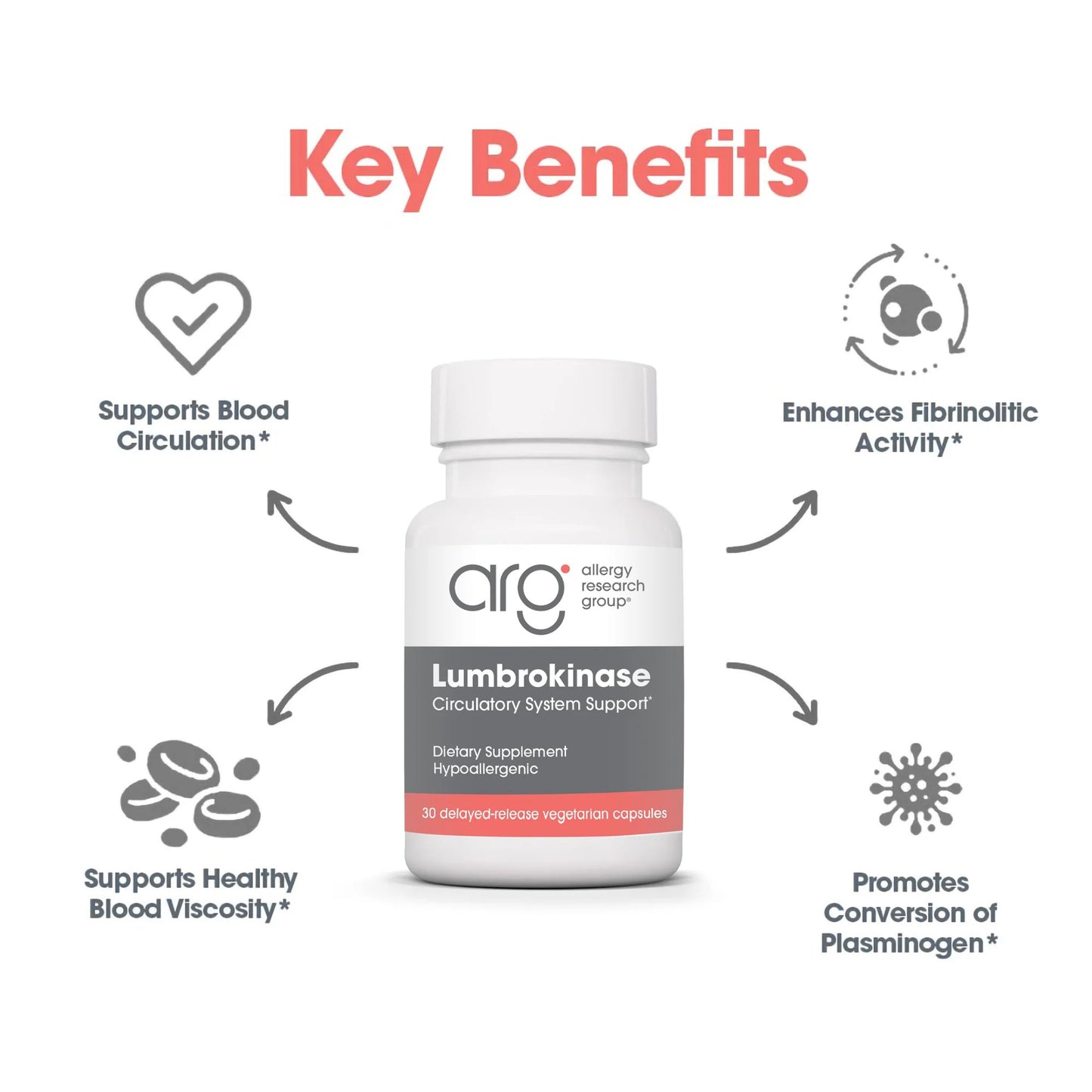 Lumbrokinase Circulatory System Support