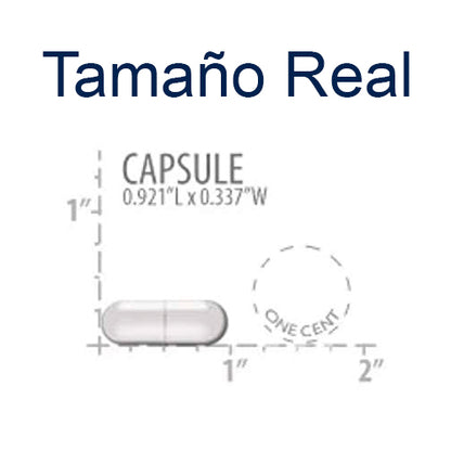 Glucosamine/Chondroitin Capsules