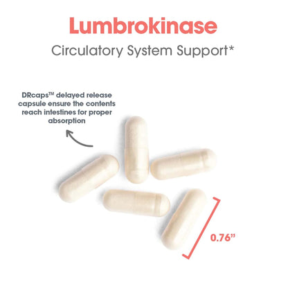Lumbrokinase Circulatory System Support