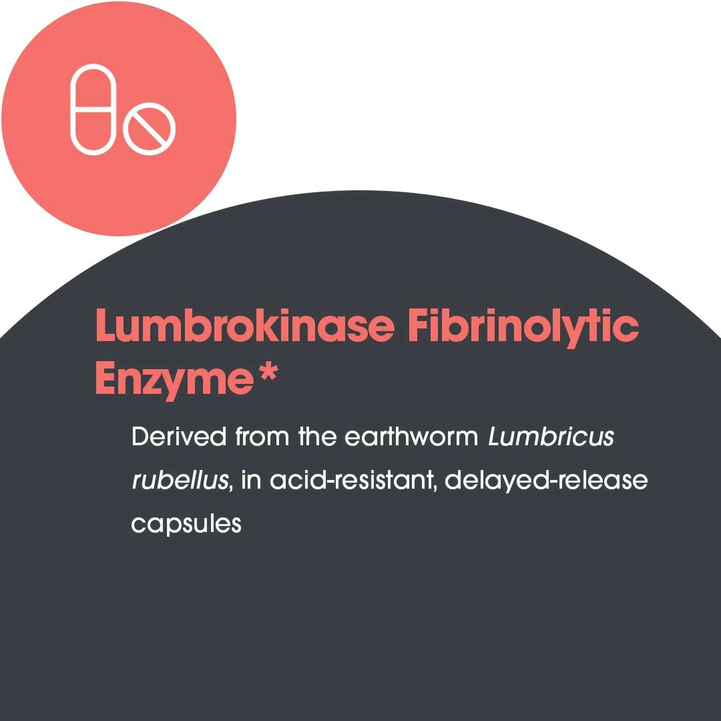 Lumbrokinase Circulatory System Support