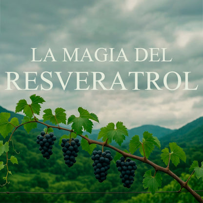 Resveratrol Elite